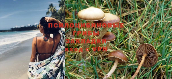 MDMA Premium VHQ Богородицк