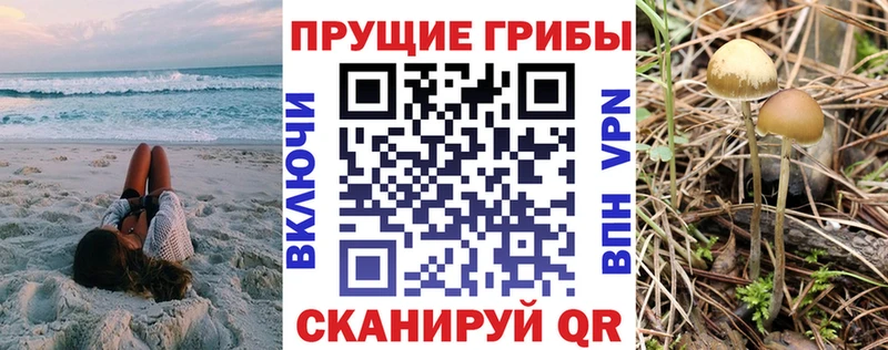 Псилоцибиновые грибы ЛСД  Вихоревка 